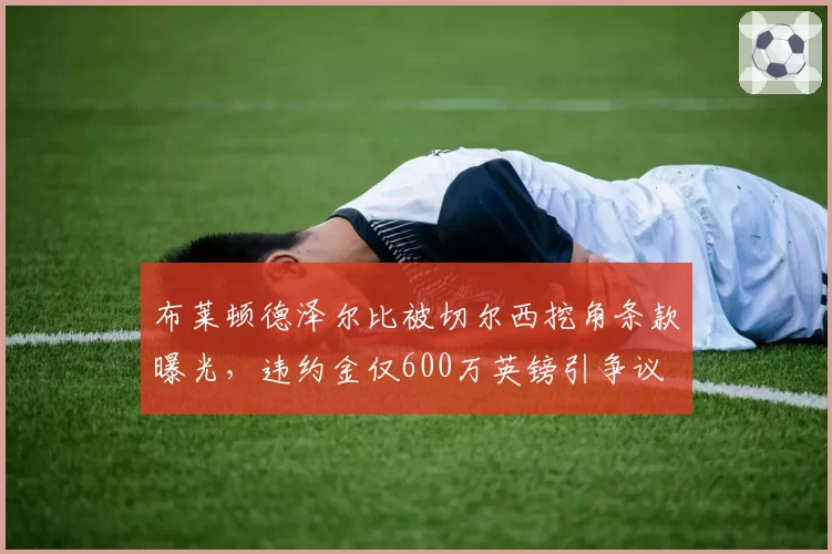布莱顿德泽尔比被切尔西挖角条款曝光，违约金仅600万英镑引争议