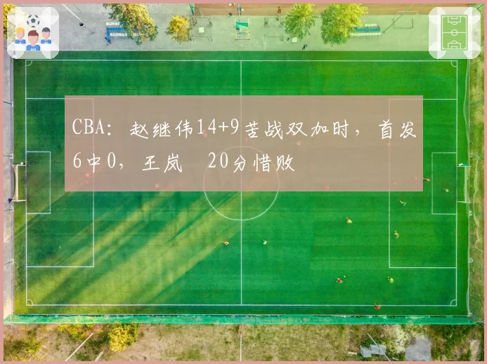 CBA：赵继伟14+9苦战双加时，首发6中0，王岚嵚20分惜败