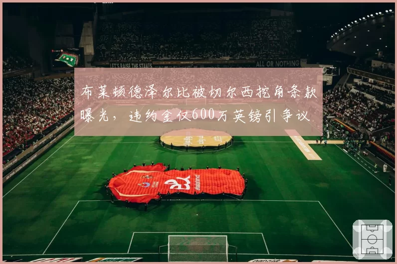布莱顿德泽尔比被切尔西挖角条款曝光，违约金仅600万英镑引争议