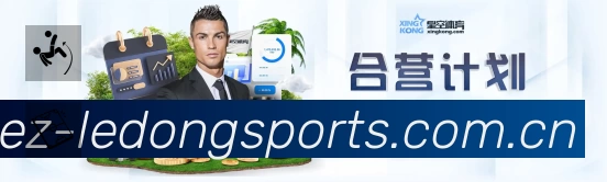 全球访问热力分布图